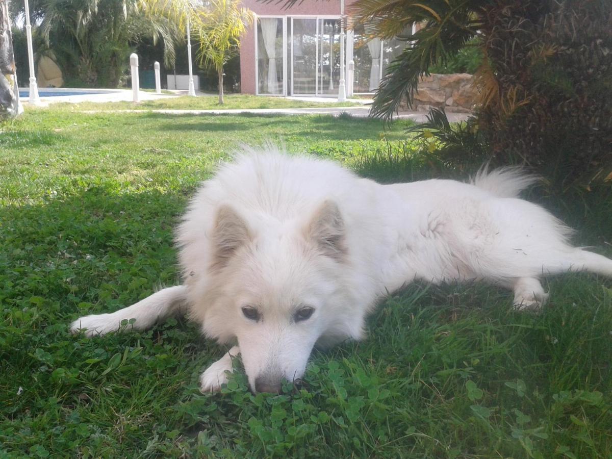 Los Jardines De Lola Daimes ภายนอก รูปภาพ