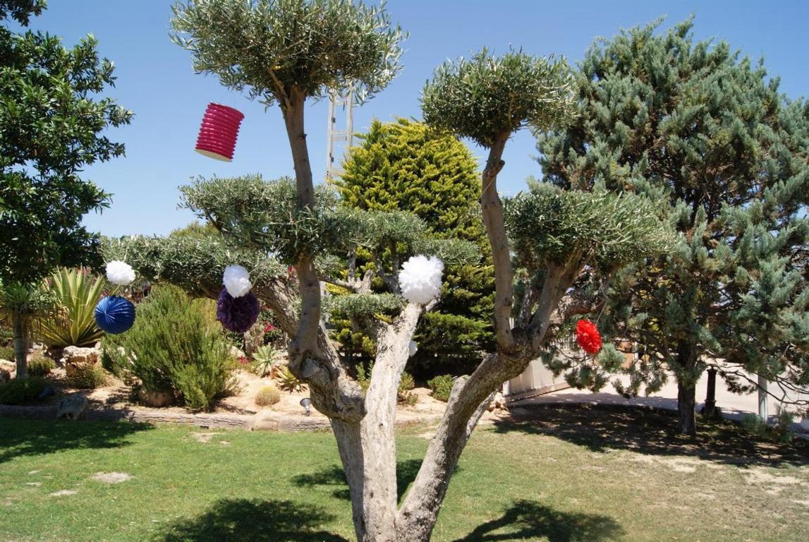 Los Jardines De Lola Daimes ภายนอก รูปภาพ