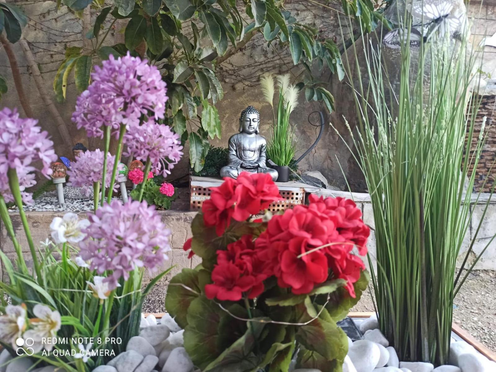 Los Jardines De Lola Daimes ภายนอก รูปภาพ
